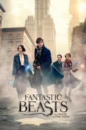 Nonton film Streaming Fantastic Beasts and Where to Find Them Download Movie lk21 terbaru